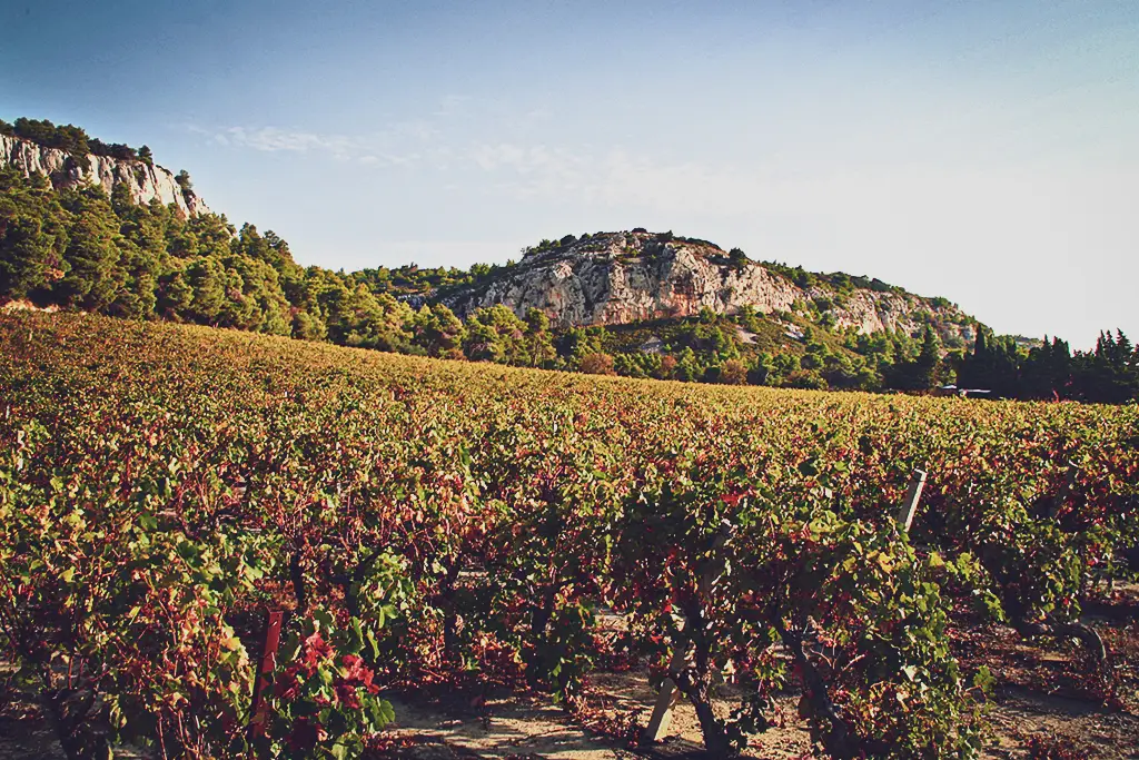 Vignobles vin Narbonne, bons plans week-end romantique